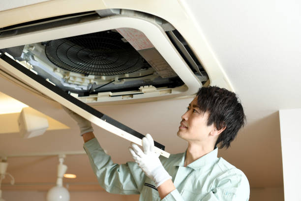 Best Professional Duct Cleaning Services  in Fort Denaud, FL